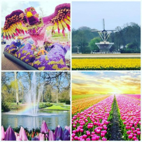 B&Bslapenopeeneiland
